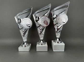 Huvudbild Trofé Mikaela