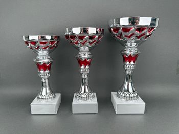 Huvudbild Pokal Hugo