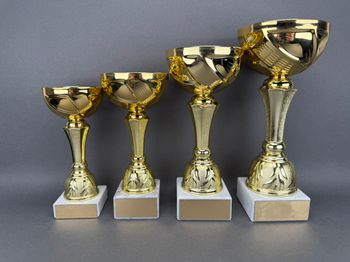 Huvudbild Pokal Sofia