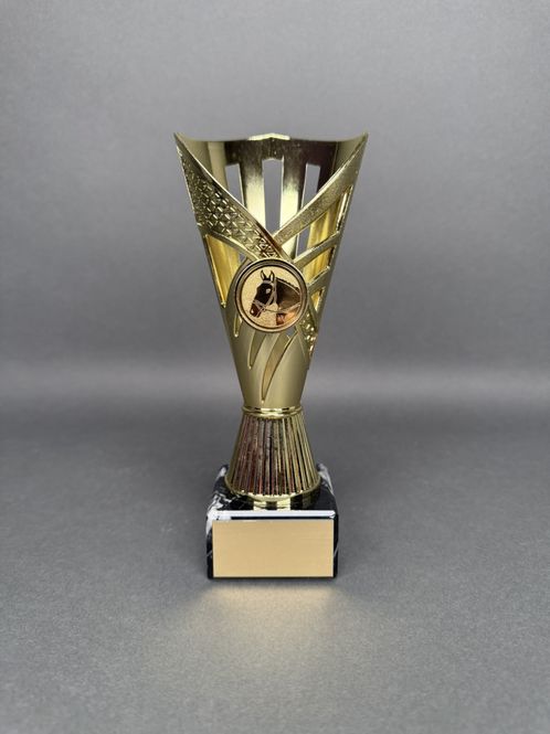 Huvudbild Trofé Aino, Guld, 190mm