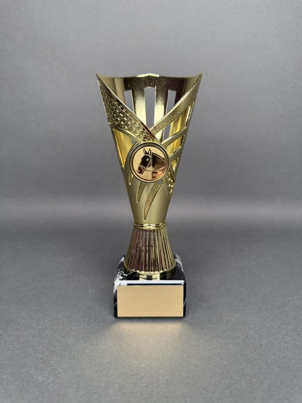 Trofé Aino, Guld, 190mm